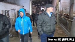 Poljoprivrednik iz Slovenije od države je dobio robota za mužu krava