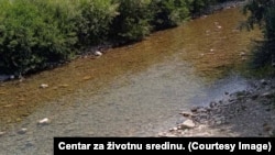 Živi svijet gornjeg toka rijeke Neretve i ranije je bio ugrožen zbog gradnje hidroelektrane "Ulog".