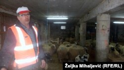 Ante Romić: Država kasni sa poticajima