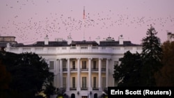 აშშ, თეთრი სახლი.