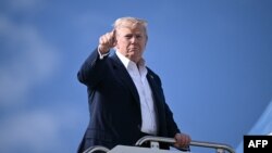 Дональд Трамп 