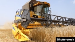 Збирання врожаю зернових у Харківській області