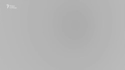 США, Украина и Европа. Чего ожидать от переговорного процесса
 США, Украина и Европа. Чего ожидать от переговорного процесса