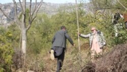 ډاکټر نقاب خان