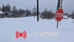 დიდთოვლობა გურიასა და აჭარაში - განახლებადი