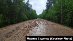 Дорога к Музей ледового побоища в Псковской области