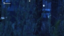 Берлин-89: Братья против стены (видео) Берлин-89: Братья против стены (видео)