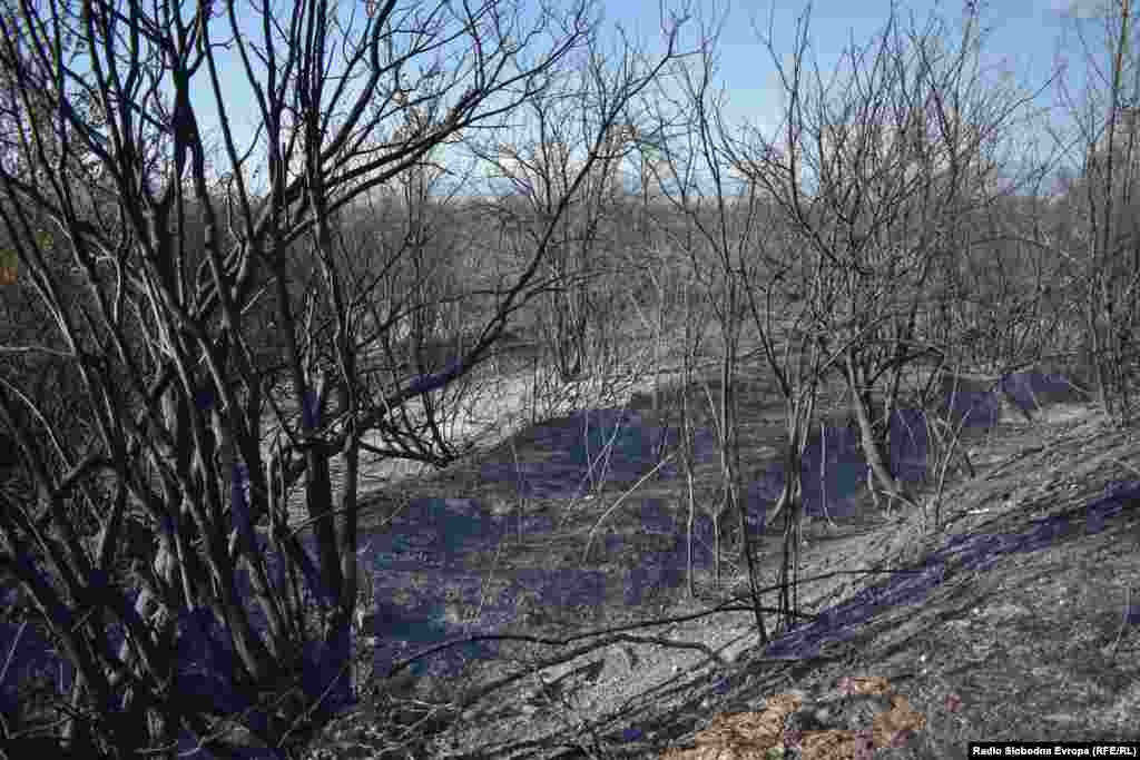 Posljedice požara na obali Prespe u Donjem Perovu i Ezeranima