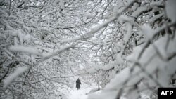 საქართველოში ისევ თოვს. როგორი ამინდი იქნება ქალაქებში 26 თებერვალს?