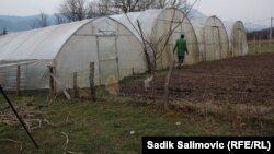 Plastenici, ilustrativna fotografija