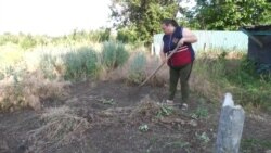 Jedina stanovnica napuštenog grada u Donjecku gradi život ispočetka Jedina stanovnica napuštenog grada u Donjecku gradi život ispočetka