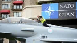 Новая жизнь НАТО Новая жизнь НАТО