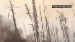 Звезды призвали чиновников потушить лесные пожары в Сибири Звезды призвали чиновников потушить лесные пожары в Сибири