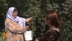 Истироҳати зани рустоии тоҷик дар "кор" Истироҳати зани рустоии тоҷик дар "кор"