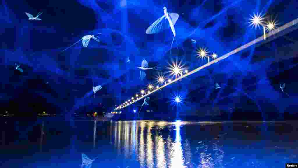 A kérészek védelme érdekében LED-es fénysorompókat fejlesztettek ki, melyek a víz felszíne fölött tartják a dunavirágokat, megakadályozva ezzel, hogy a partra vagy hidakra tévedjenek