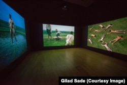 Балканский эротический эпос (2005)