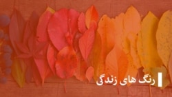 رنگهای زندهگی (تکرار) رنگهای زندهگی (تکرار)