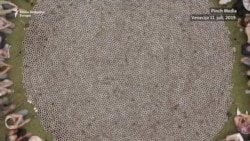 Šta može jedan fildžan kafe? Šta može jedan fildžan kafe?