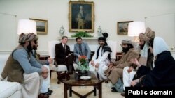 აშშ-ის პრეზიდენტი, რონალდ რეიგანი ავღანელი პარტიზანი მებრძოლების, მოჯაჰედინების ლიდერებს ხვდება 1983 წელს. შეხვედრიდან მალე, საბჭოთა კავშირის "სისხლისგან დაცლის" მიზნით, აშშ-მა და საუდის არაბეთმა დაიწყეს ანტისაბჭოთა სამხედროების მილიონობით დოლარით დაფინანსება.