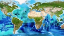 Militantne grupe jačaju u Africi Militantne grupe jačaju u Africi