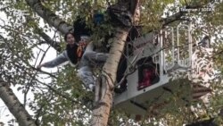 В пикет - с арбалетом В пикет - с арбалетом