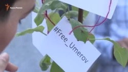 «Сажайте деревья, а не людей!» – в Киеве вышли в поддержку Ильми Умерова (видео) «Сажайте деревья, а не людей!» – в Киеве вышли в поддержку Ильми Умерова (видео)