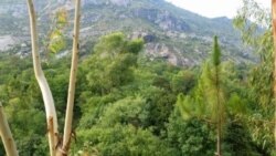 د بونېر د امبېلې سیمه