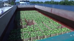 Баржа из Херсонщины отправилась в Киев с арбузами (видео) Баржа из Херсонщины отправилась в Киев с арбузами (видео)
