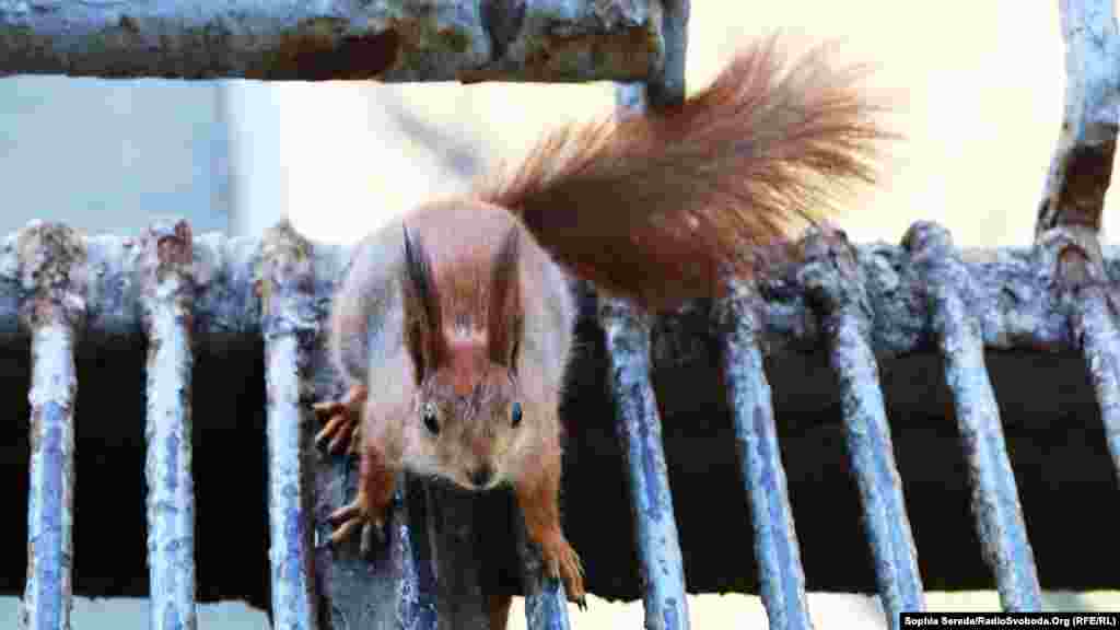 А хтось був не проти нових знайомств. 