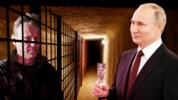 Время Свободы:"Стыдно подозревать, если знаешь наверняка". Год отравлению Навального  Время Свободы:"Стыдно подозревать, если знаешь наверняка". Год отравлению Навального