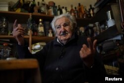 ხოსე მუხიკა