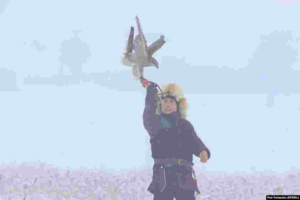 Сокіл сідає на руку юному мисливцеві. Під час змагань у горах почався сильний туман, але це не заважало ловчим птахам виконувати завдання турніру