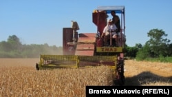 Žetva u okolini Kragujevca, Srbija
