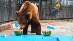 د جولای ۱۵مې ویډیويي خبرونه