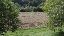 Uništena polja žita u Čajniču Uništena polja žita u Čajniču