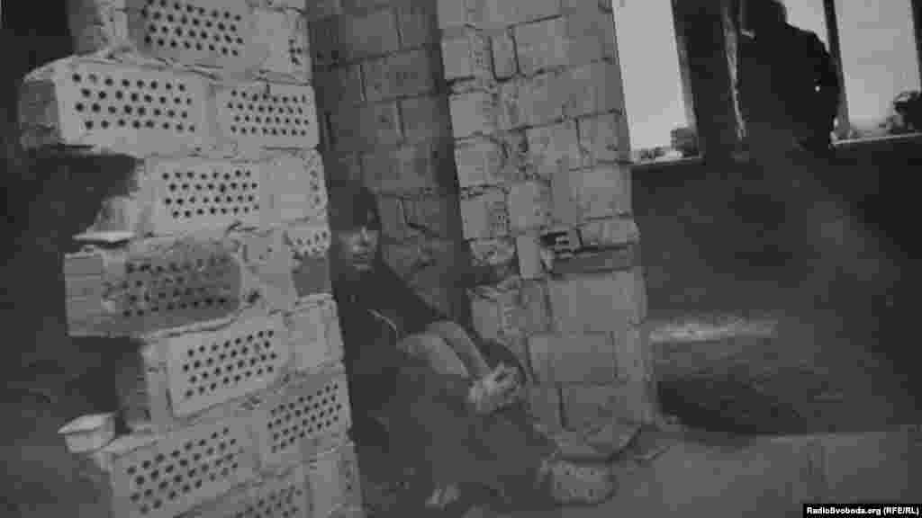 Фото безпритульних, зроблене волонтерами