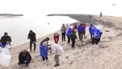 Первые жертвы среди волонтеров на пляжах Анапы Первые жертвы среди волонтеров на пляжах Анапы