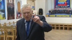 Жириновский призвал посадить Навального Жириновский призвал посадить Навального