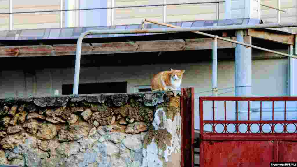 Как сейчас выглядит бывшая резиденция калги-султана, второго по значимости после хана лица в иерархии Крымского ханства, – смотрите по ссылке