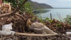 Ekološke krize u ekološkoj državi Ekološke krize u ekološkoj državi