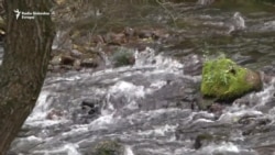 Nastavljaju se straže na Staroj planini Nastavljaju se straže na Staroj planini