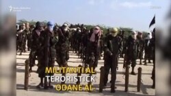 Napad Al-Šababa na vojnu bazu u Keniji Napad Al-Šababa na vojnu bazu u Keniji