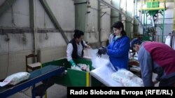 Ilustrativna fotografija