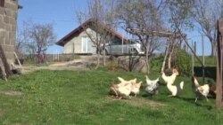 Zaboravljeni u Johovcu Zaboravljeni u Johovcu