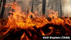 Об этом утром 31 марта сообщил глава российской администрации Нижнегорского района Антон Кравец, фото иллюстративное 