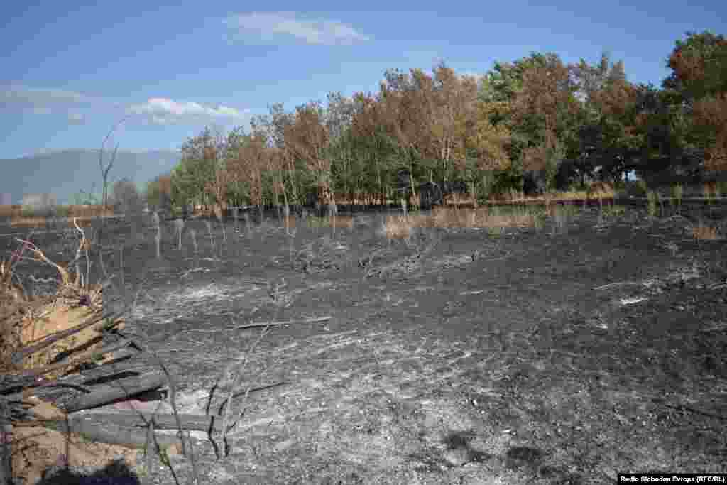 Posljedice požara na obali Prespanskog jezera u Donjem Perovu i Ezeranima.