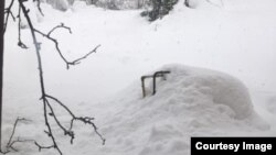 სოფელი შროშა, გურია