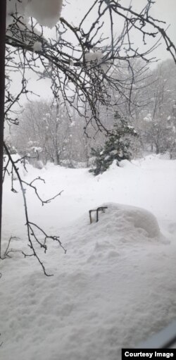 ხედი მარიამ ჩხაიძის სახლის ფანჯრიდან, სოფელი შრომა.