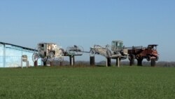 Zarđala lepota: Muzej na otvorenom kao omaž kolektivnoj farmi Zarđala lepota: Muzej na otvorenom kao omaž kolektivnoj farmi