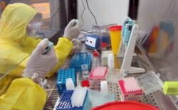 Proizvođači testova pojačavaju proizvodnju kako bi snabdjeli profitabilmo zapadno tržište